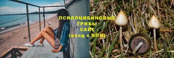 гашик Алзамай