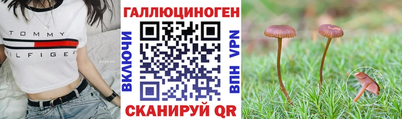 Псилоцибиновые грибы Psilocybine cubensis  Жуковский 